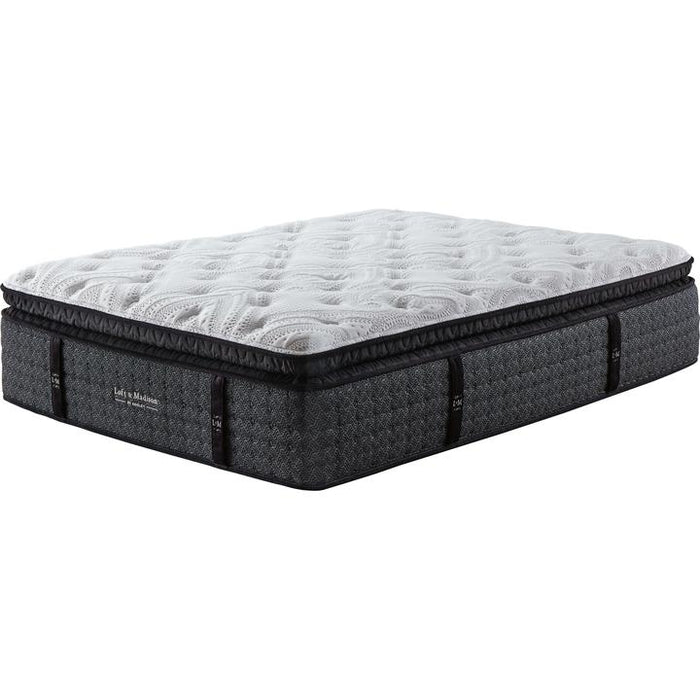 Loft and Madison Plush Mattress In A Box