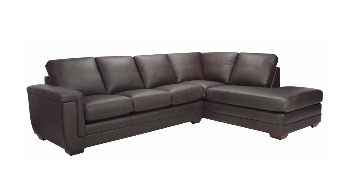 Barcelona 2-Piece Sectional