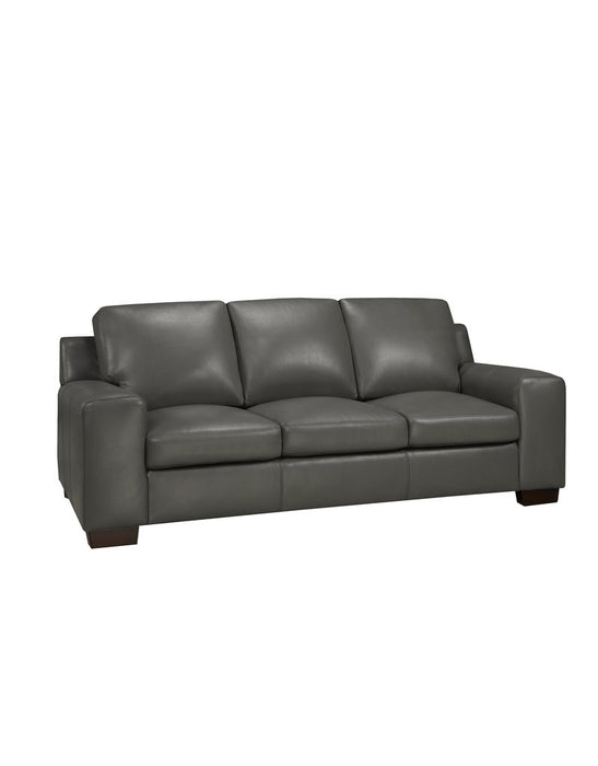 Bailey Leather Sofa