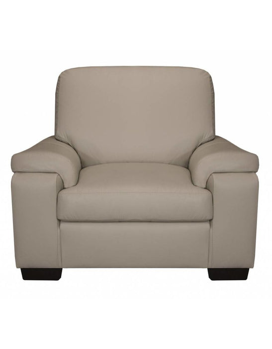Malibu Leather Chair