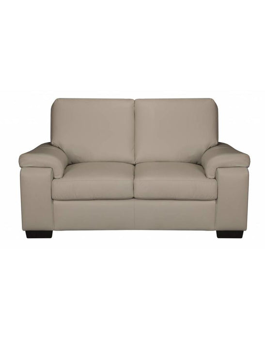 Malibu Leather Loveseat